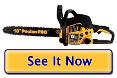 Poulan Pro PP4218AVX