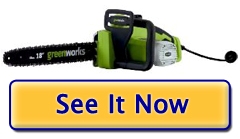 Greenworks 20032 Chainsaw